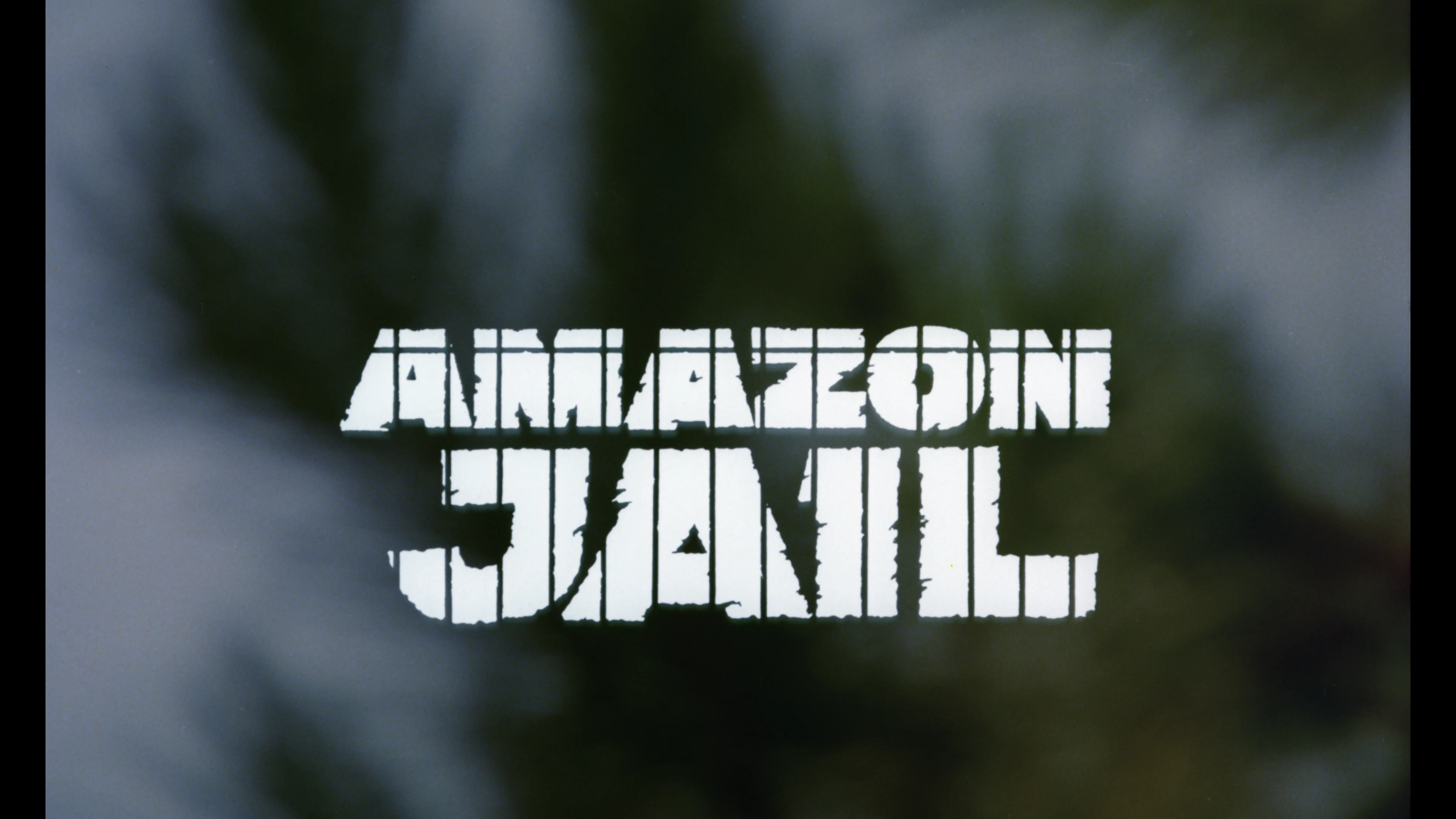 Amazon Jail / Amazon Jail II - Image 3
