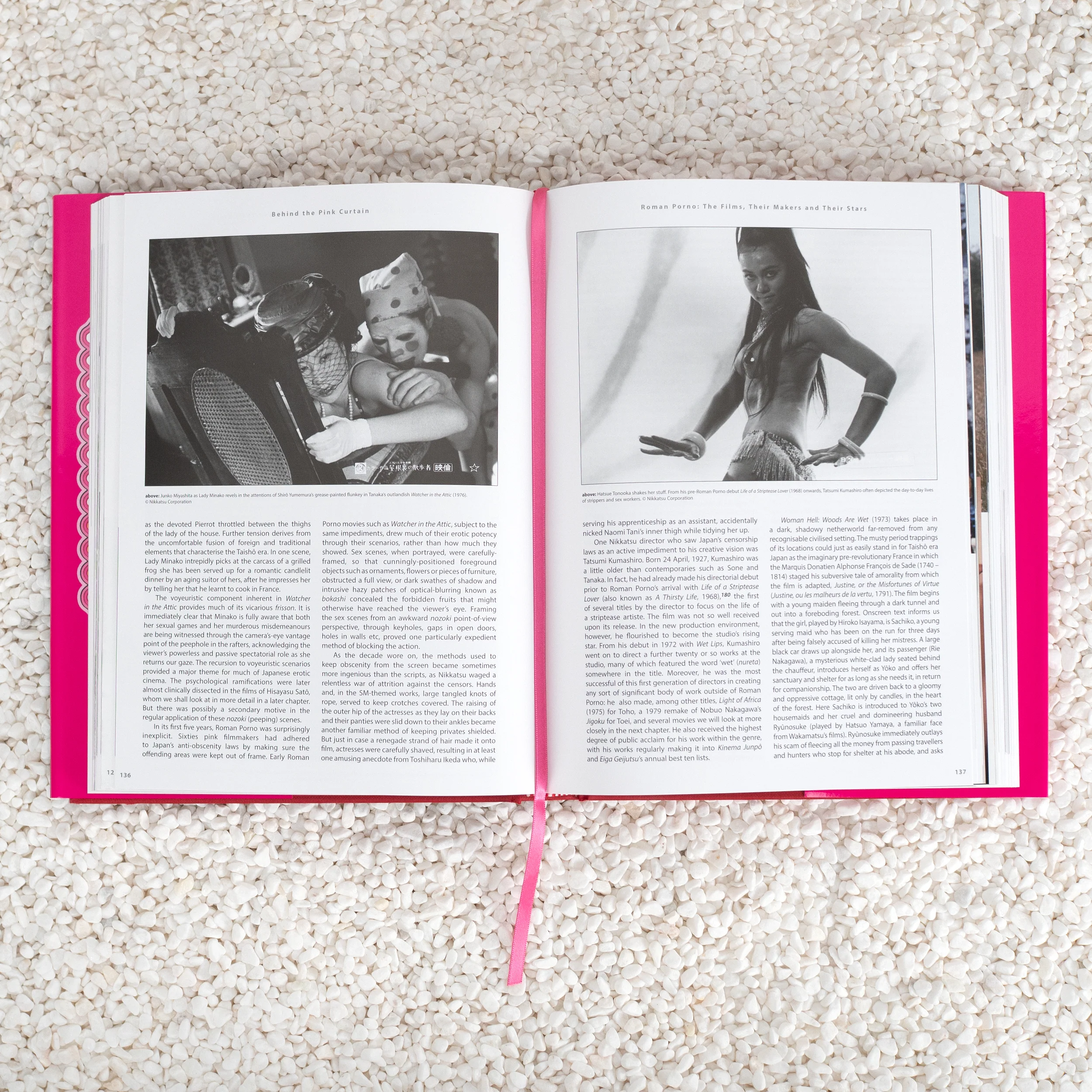 Behind the Pink Curtain - Hardcover Book - Image 3