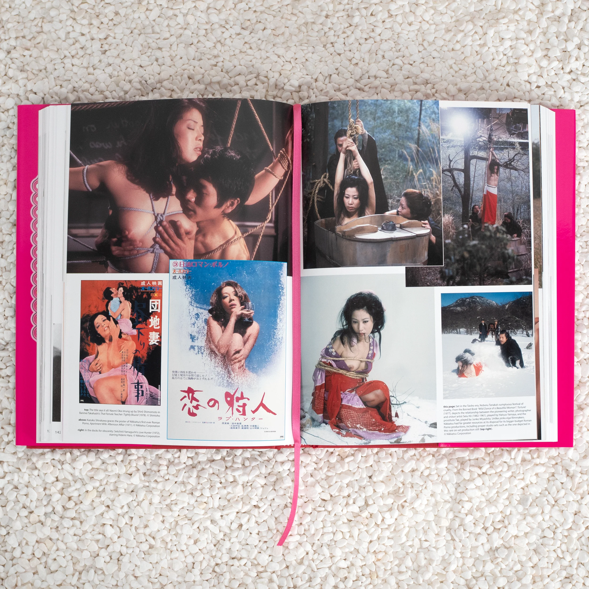 Behind the Pink Curtain - Hardcover Book - Image 4