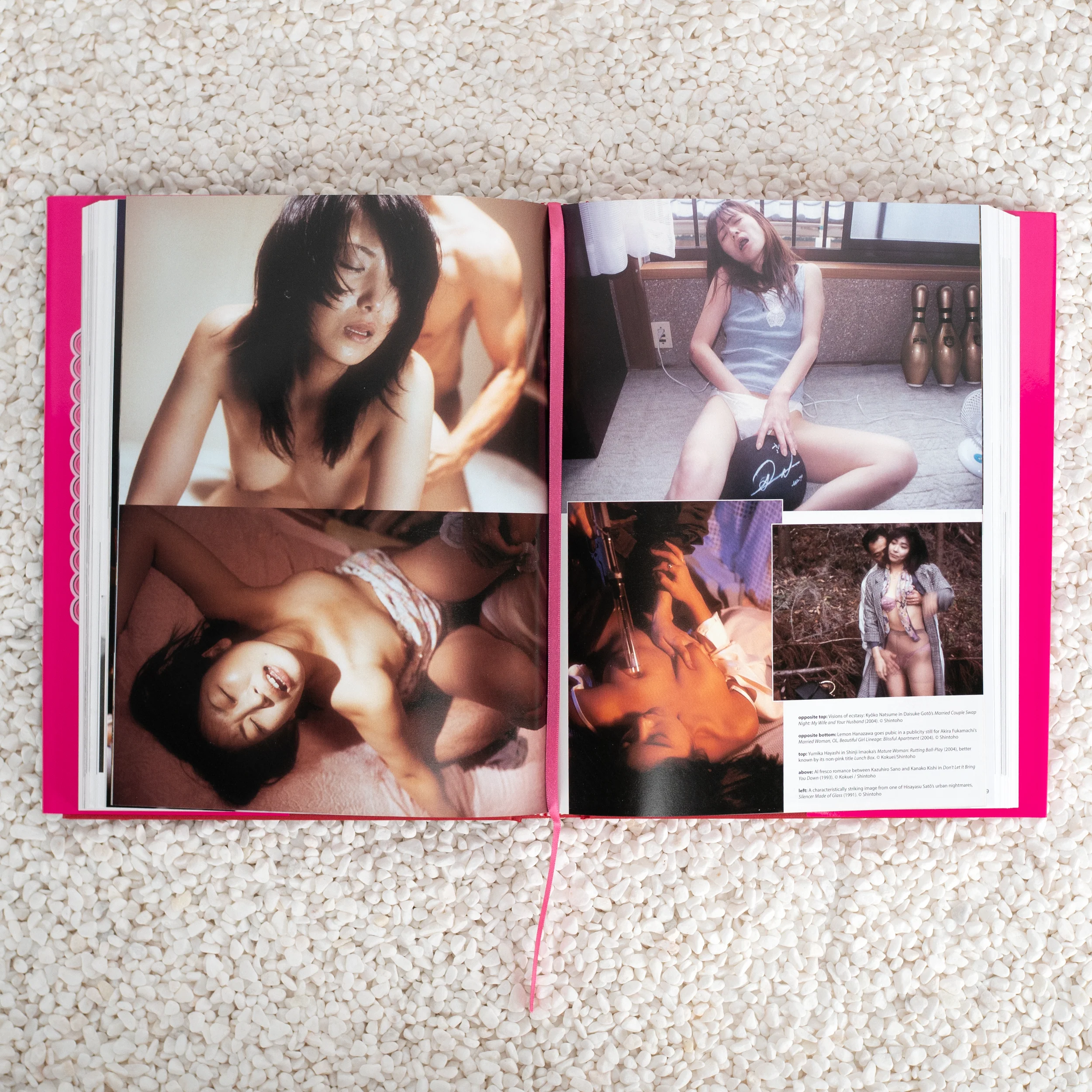 Behind the Pink Curtain - Hardcover Book - Image 5