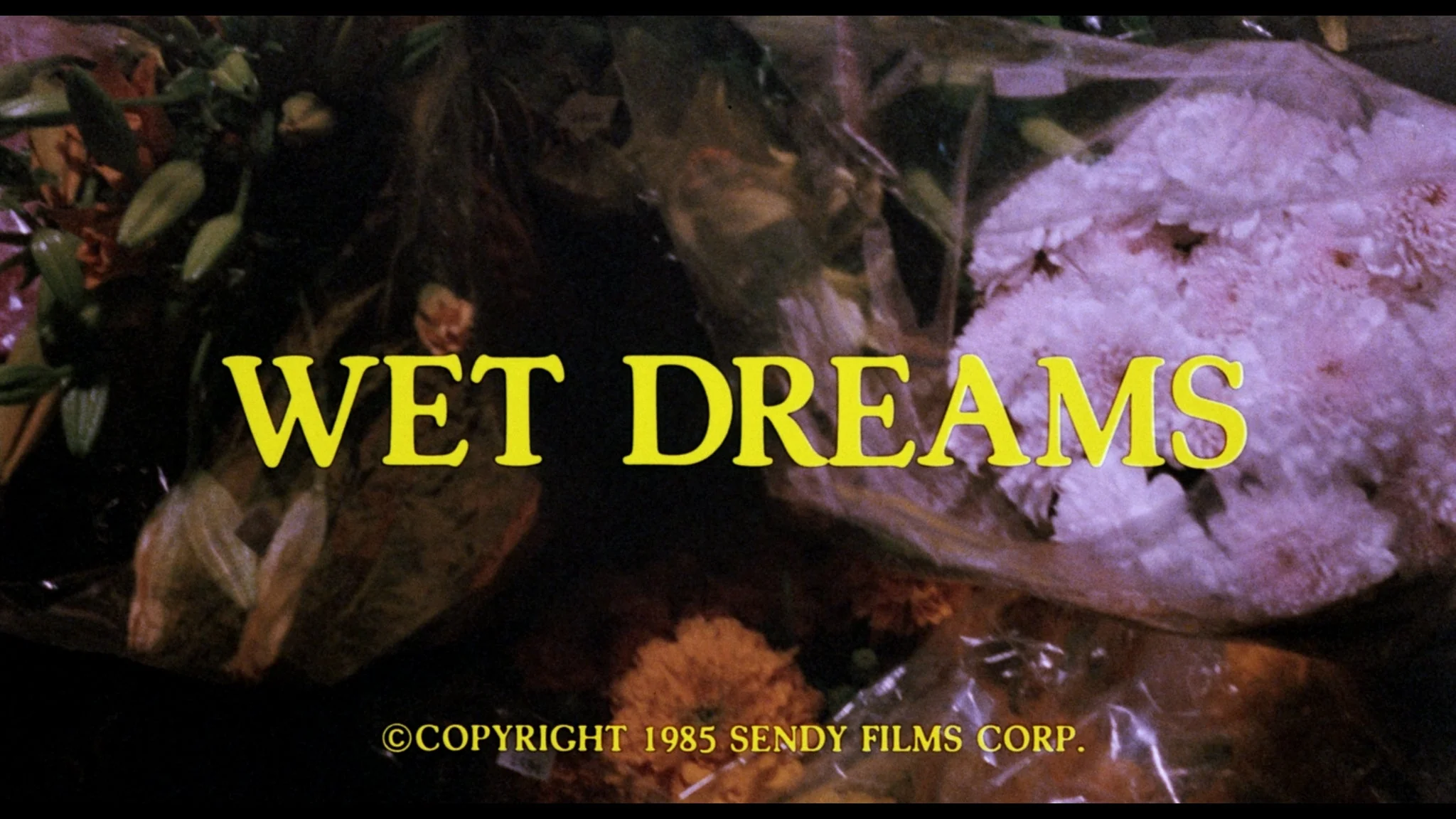 Climax! / Wet Dreams - Image 18