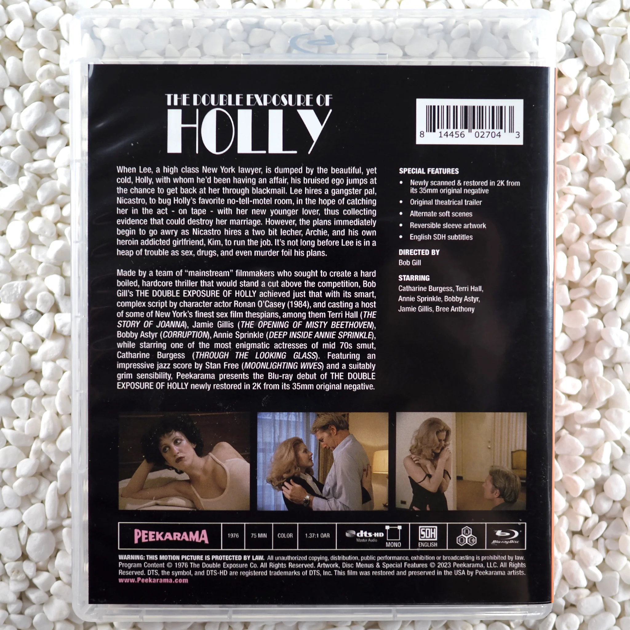 The Double Exposure of Holly - Image 20