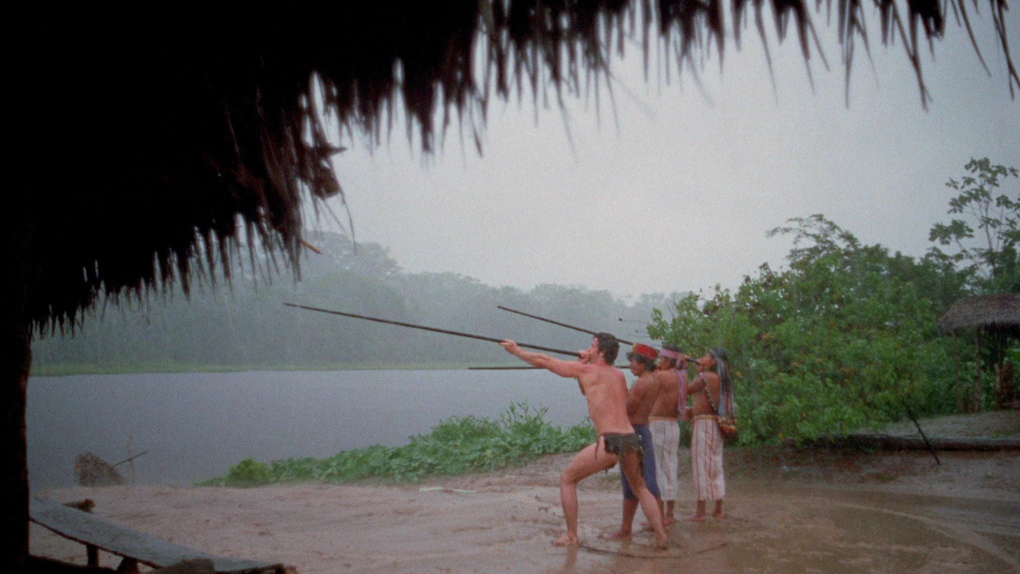 Jungle Blue - Image 7