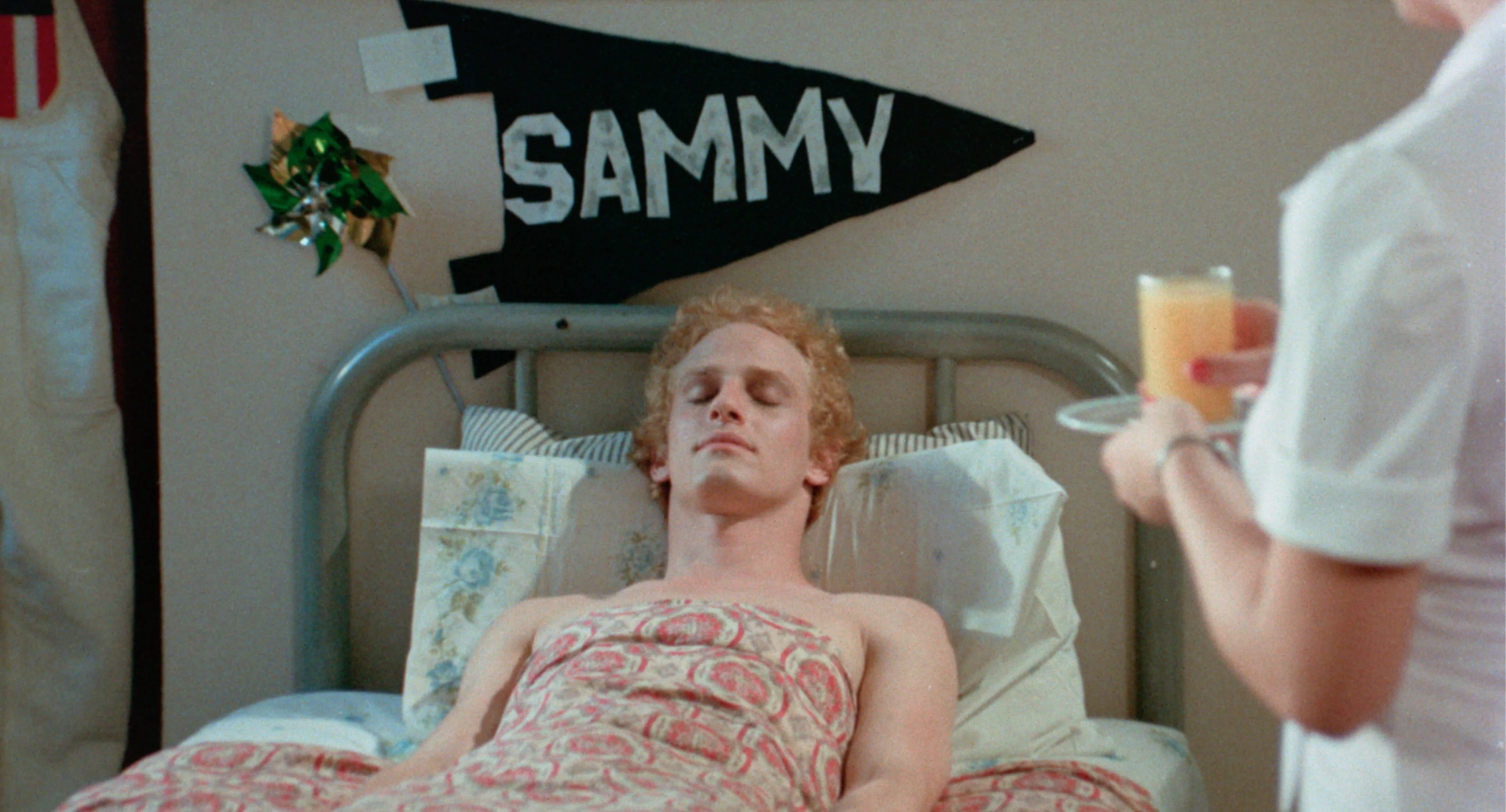 Little Orphan Sammy + Little Blue Box - Image 4