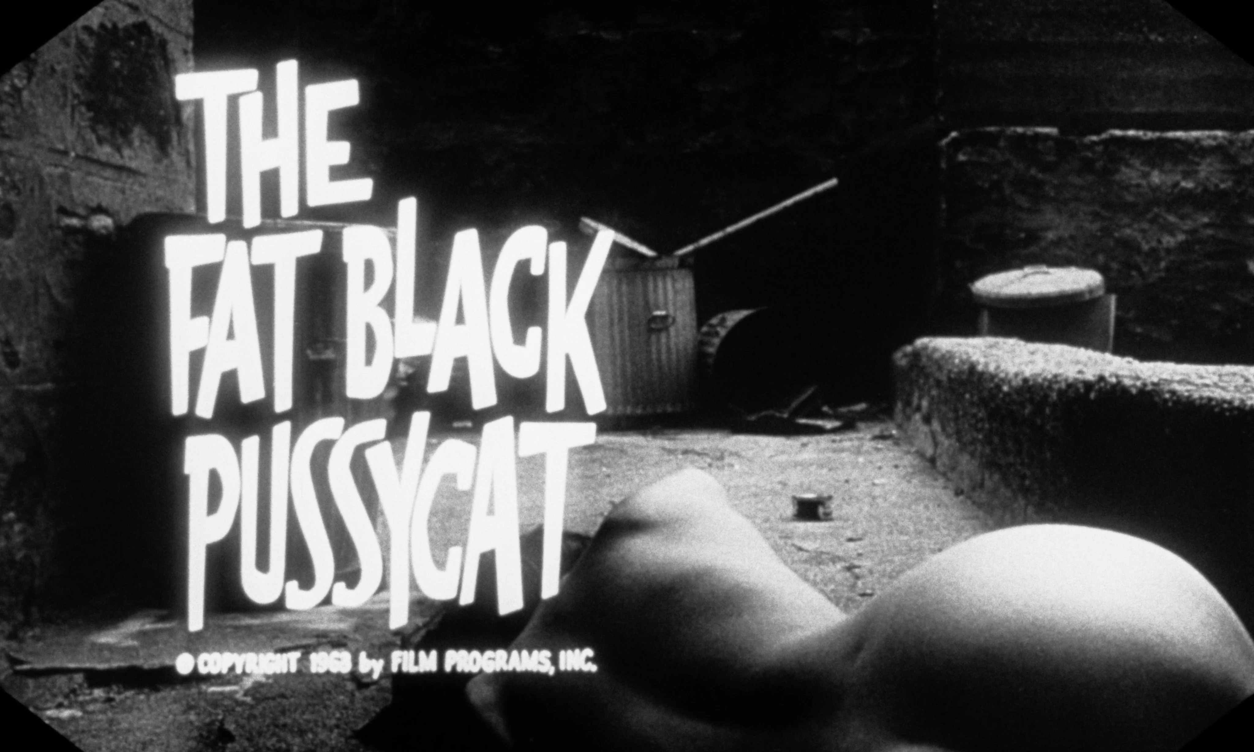 Confessions of a Psycho Cat + The Fat Black Pussycat - Image 21