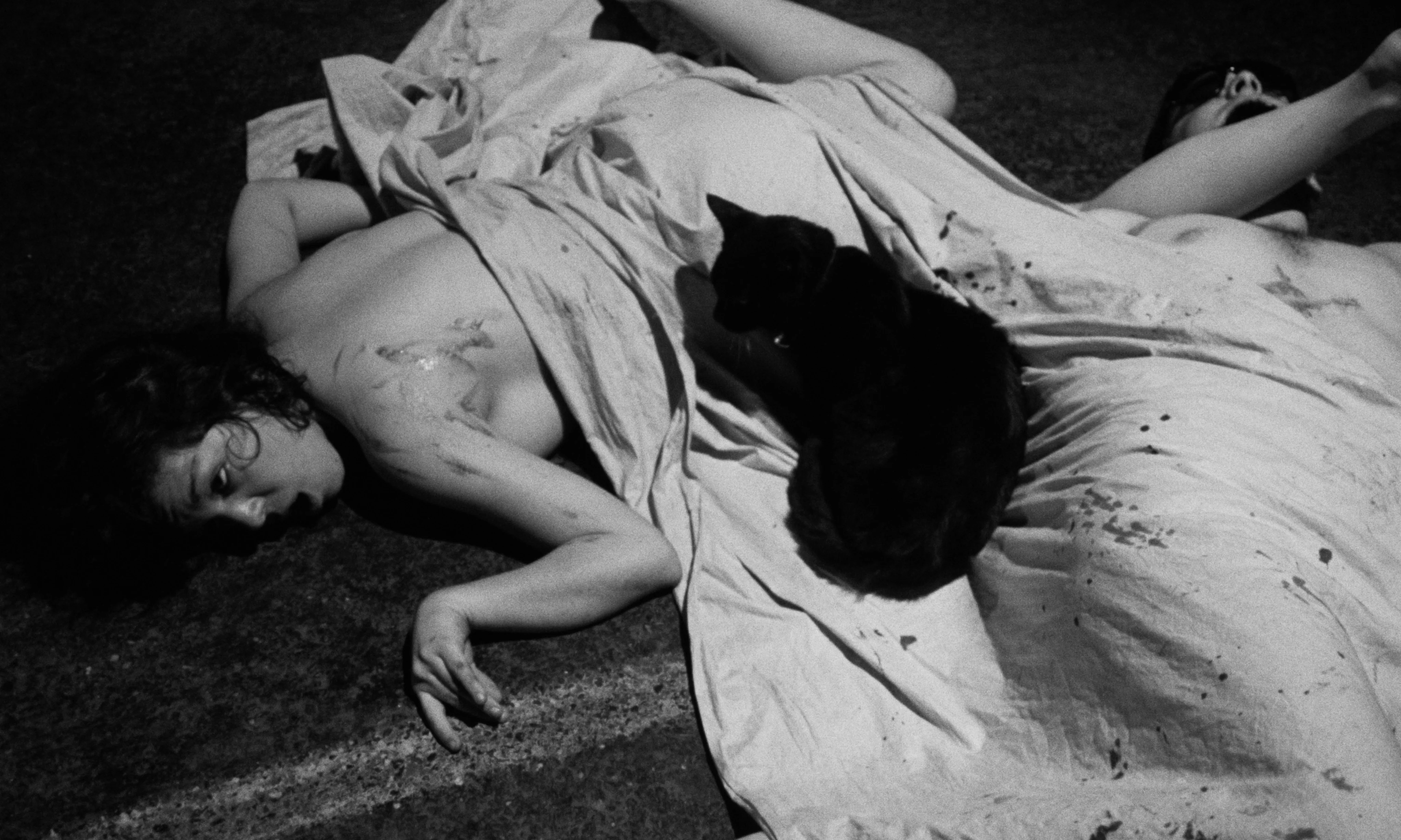 Confessions of a Psycho Cat + The Fat Black Pussycat - Image 30