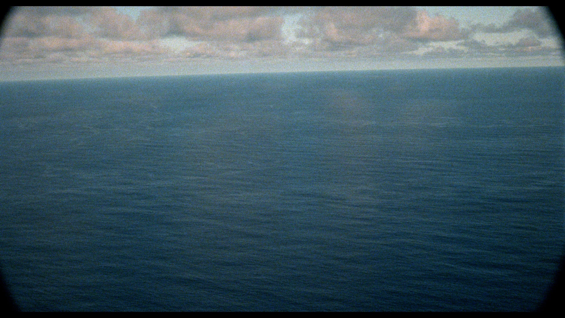 Surrender in Paradise - Image 73