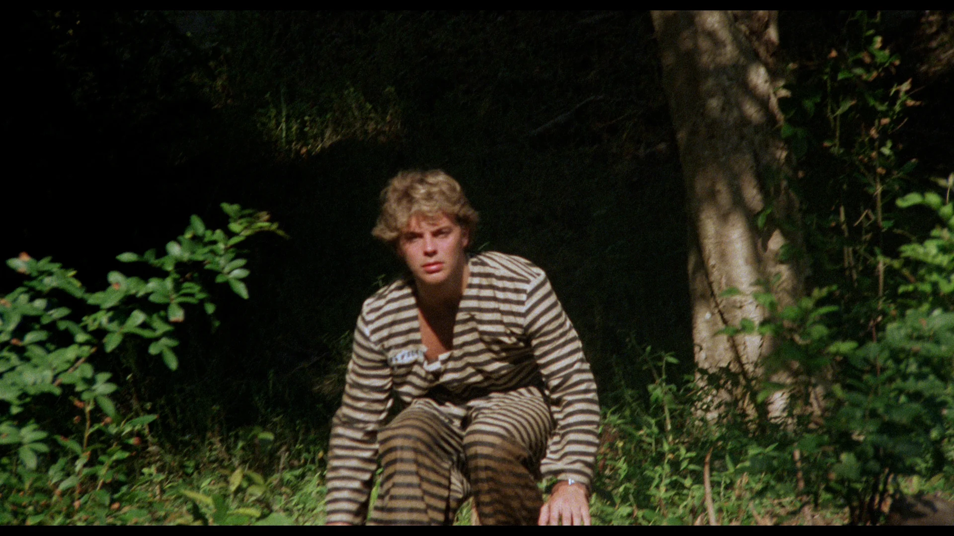 Surrender in Paradise - Image 8