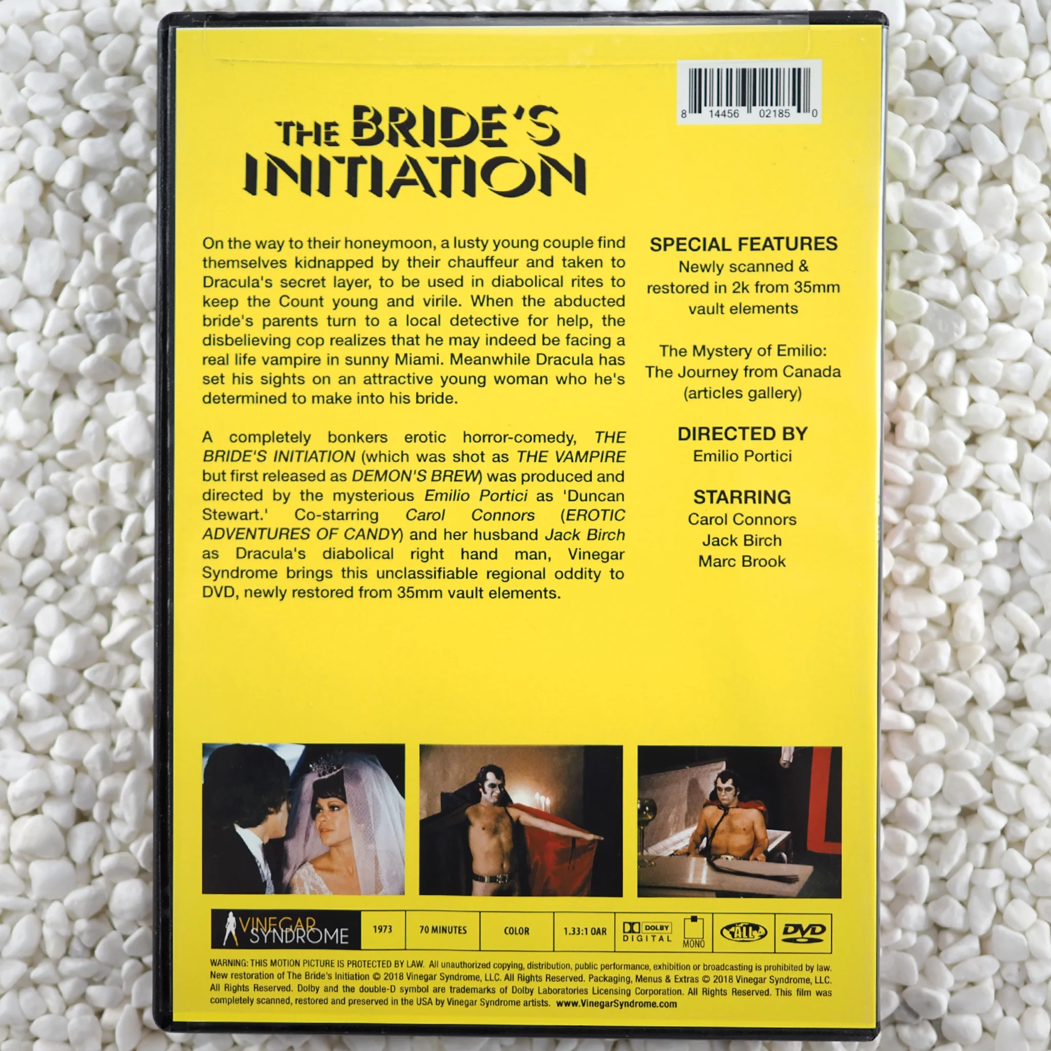 The Bride's Initiation - Image 2