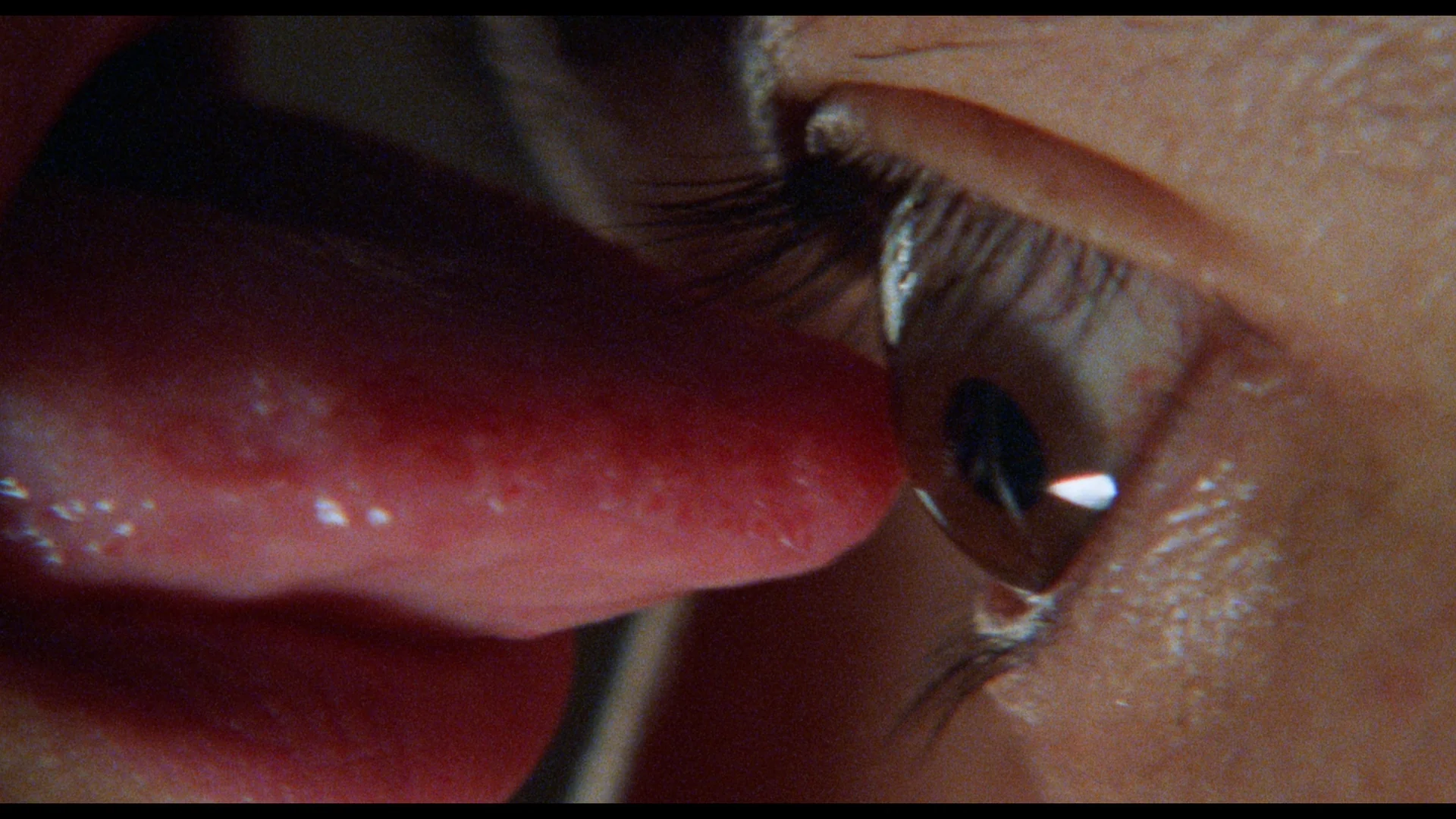 The Films of Hisayasu Satô: Volume #4 - Soft Skin / Save the Last Dance for Me / Survey Map of Paradise Lost - Image 12