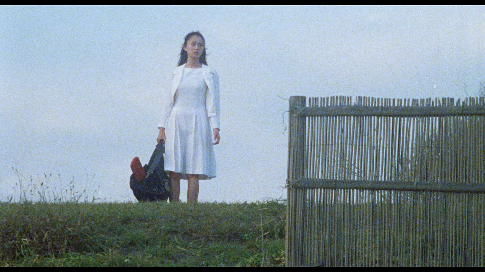 The Films of Hisayasu Satô: Volume #4 - Soft Skin / Save the Last Dance for Me / Survey Map of Paradise Lost - Image 8