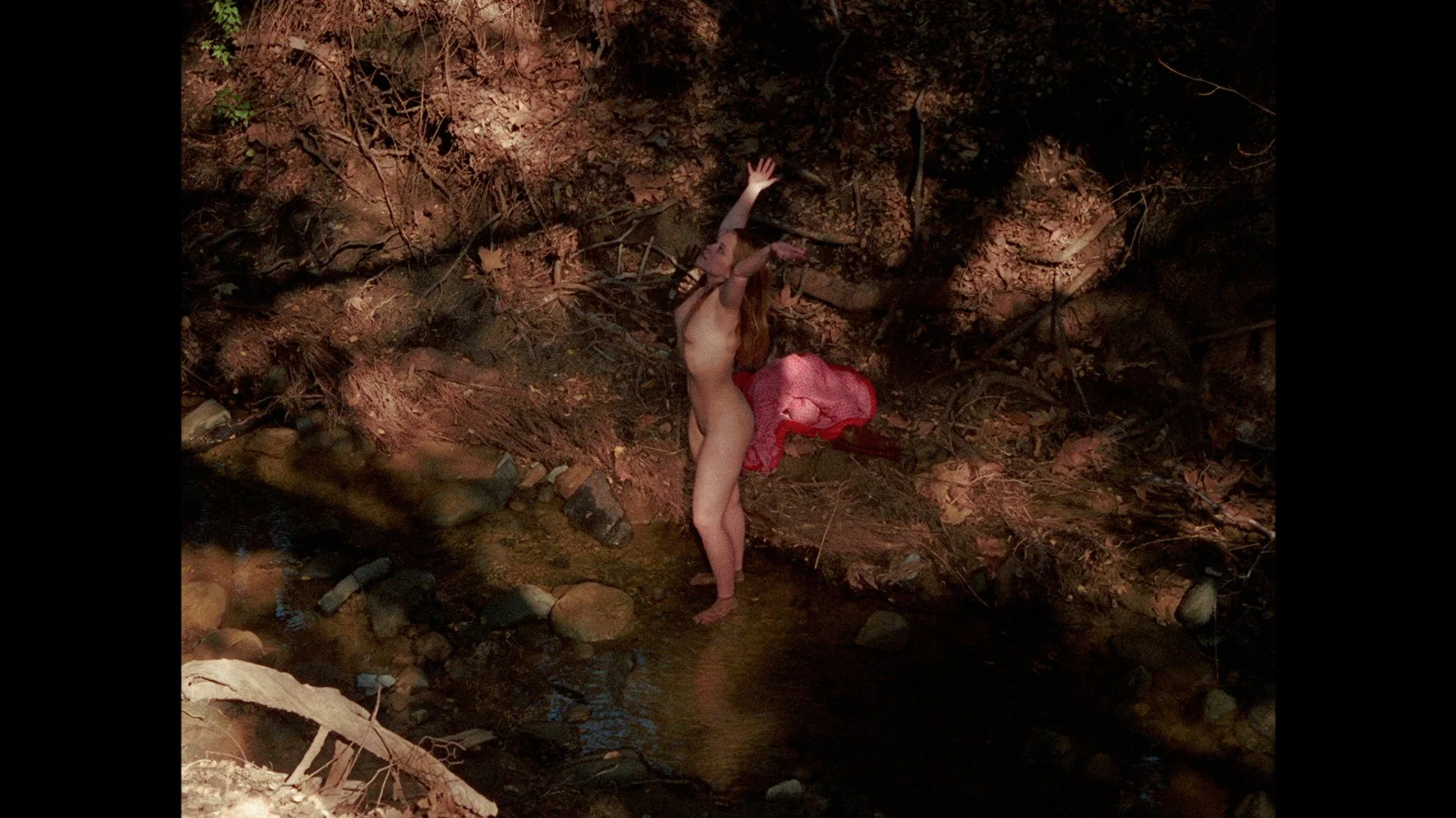 The Lost Films of Herschell Gordon Lewis - Image 19