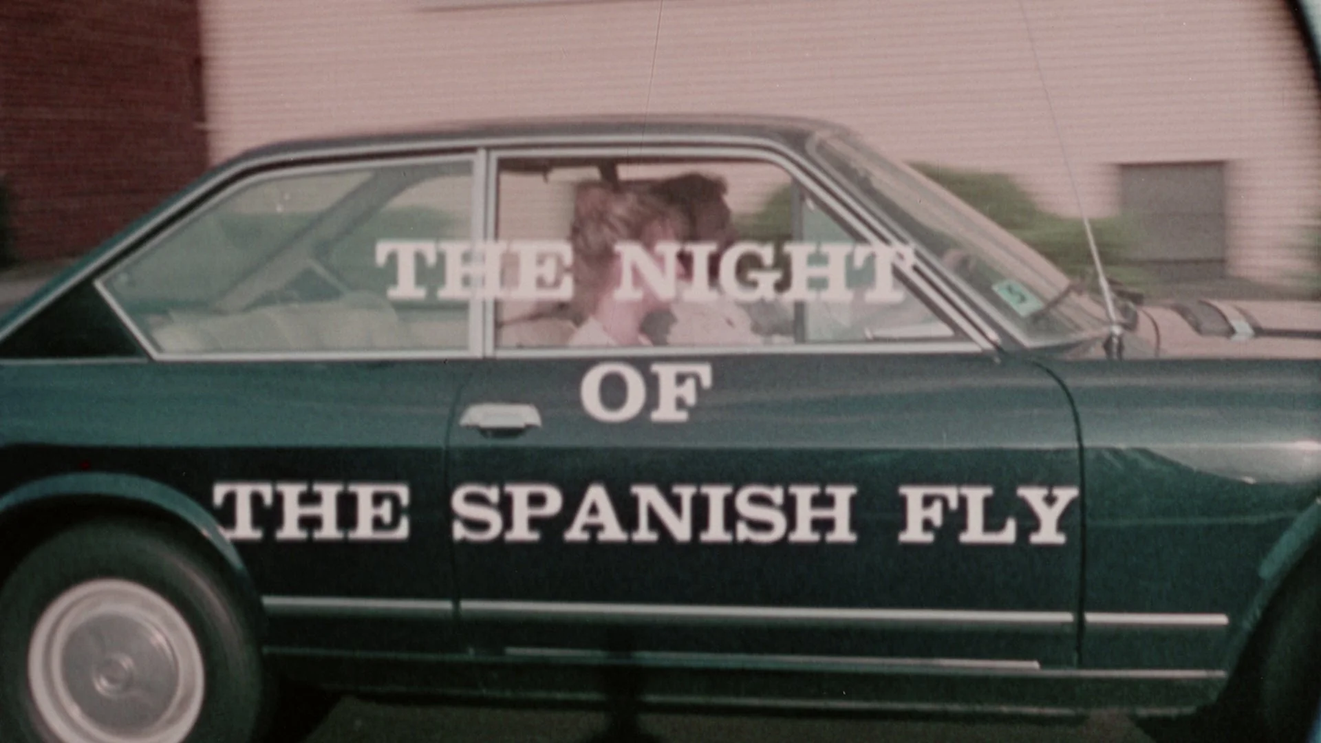 The Night Bird / Night of the Spanish Fly - Image 17