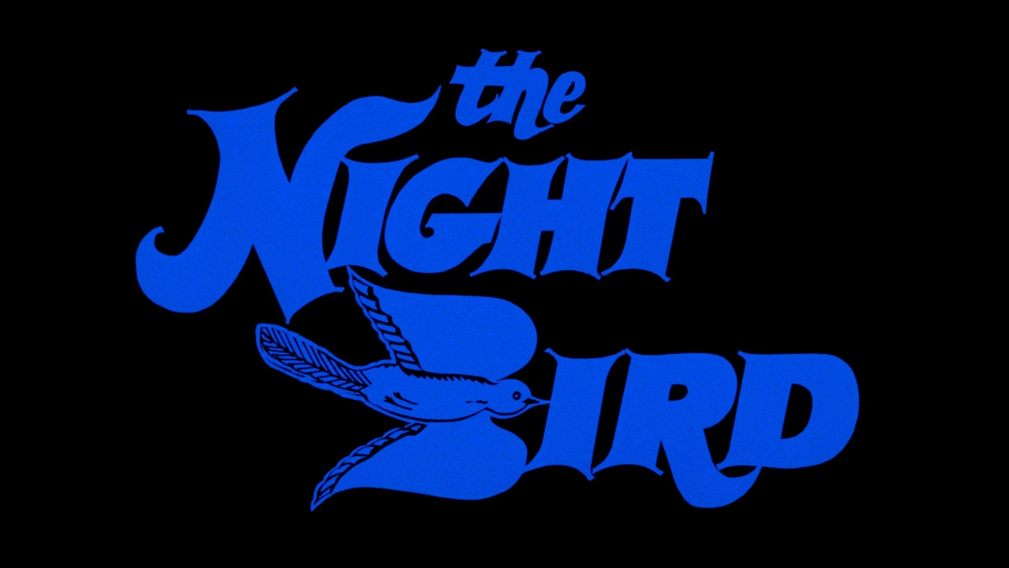 The Night Bird / Night of the Spanish Fly - Image 3