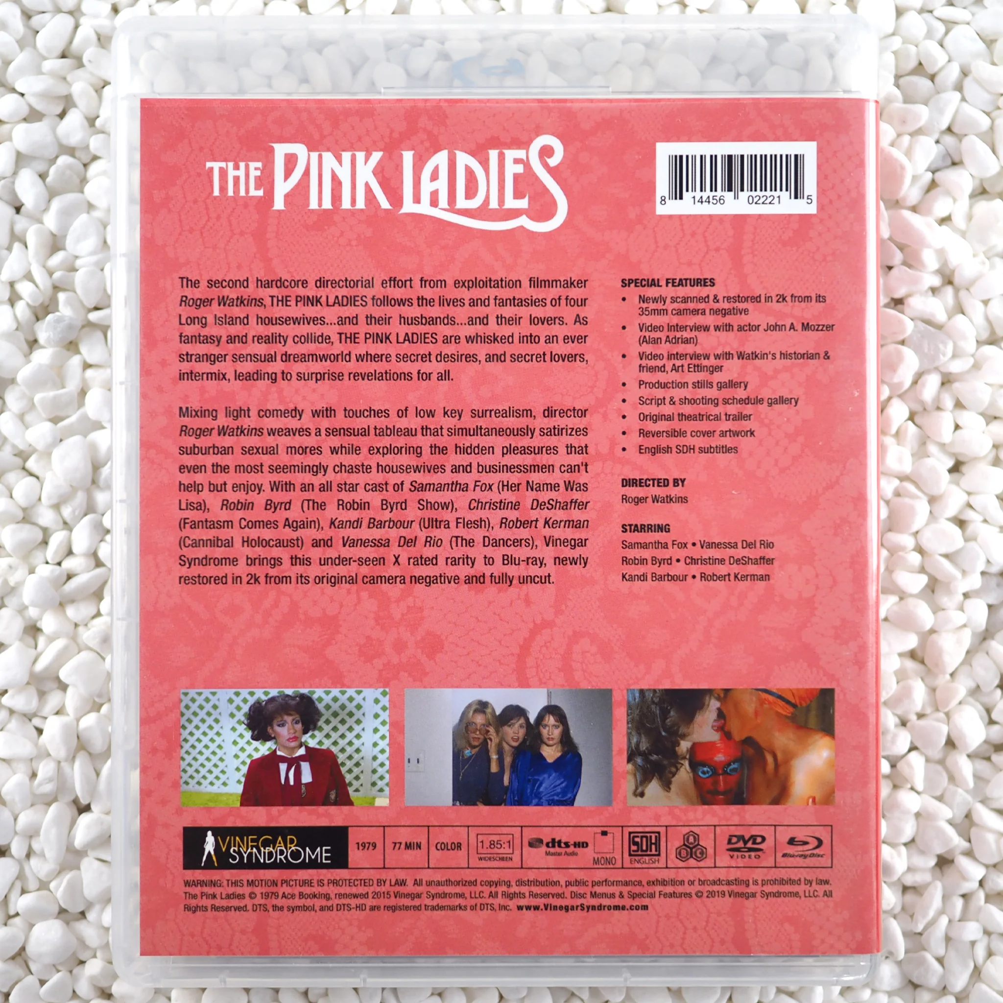 The Pink Ladies - Image 22