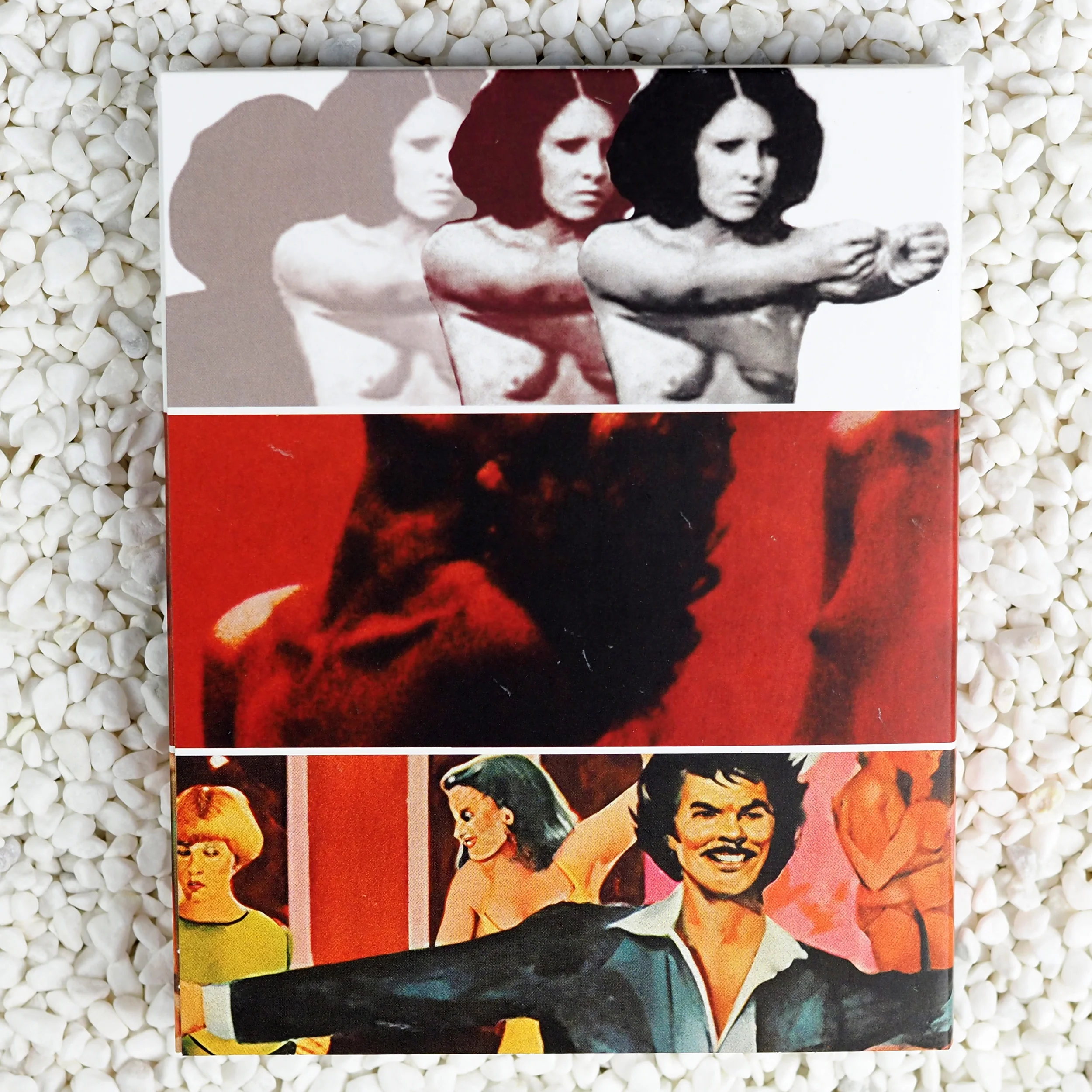 Vixens of Kung Fu + Night Bird + Sunny - Image 2